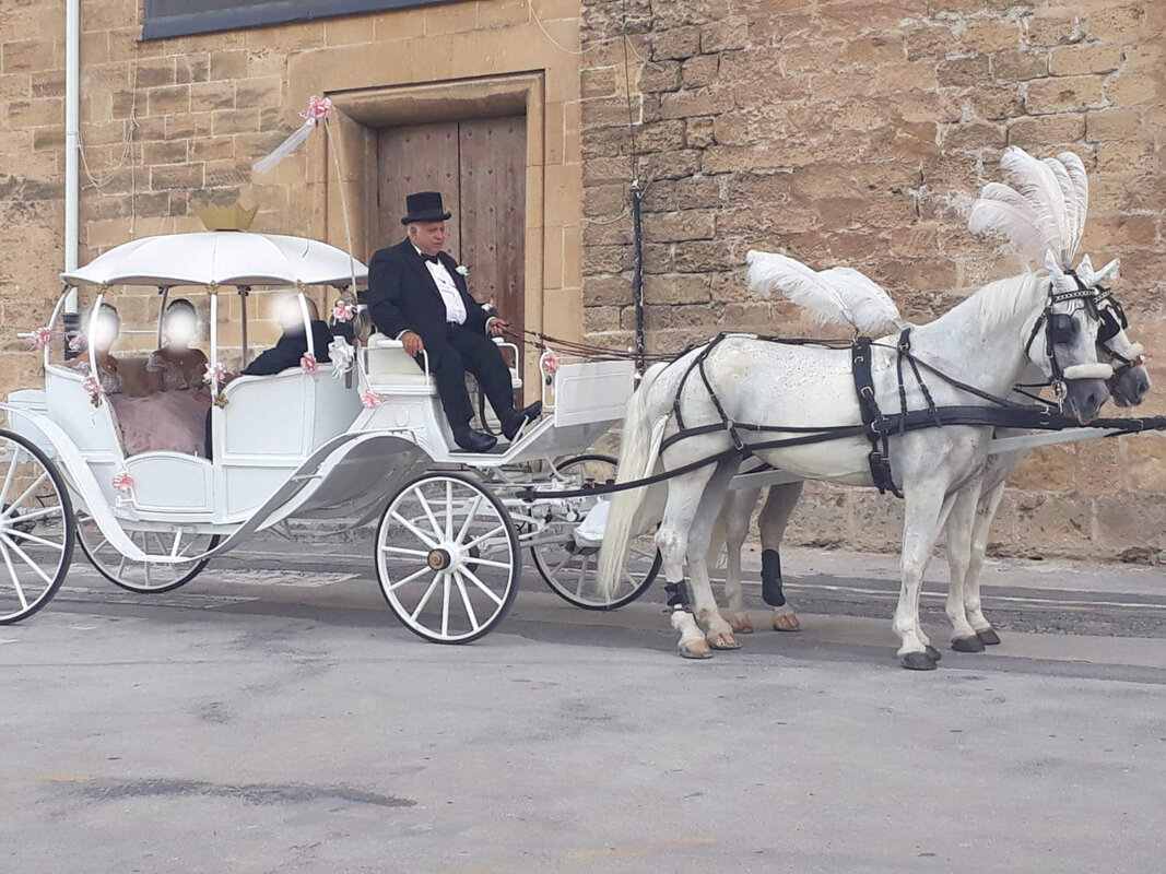 Carrozza bianca per matrimoni – Palermo